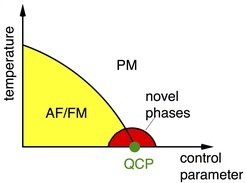 <p>Schematic phase diagram of a quantum critical point (QCP) with the occurrence of novel phases near the QCP from an antiferromagnetically (AF)/ ferromagnetically (FM) ordered ground state to a disordered paramagnetic (PM) ground state at zero temperature.</p>