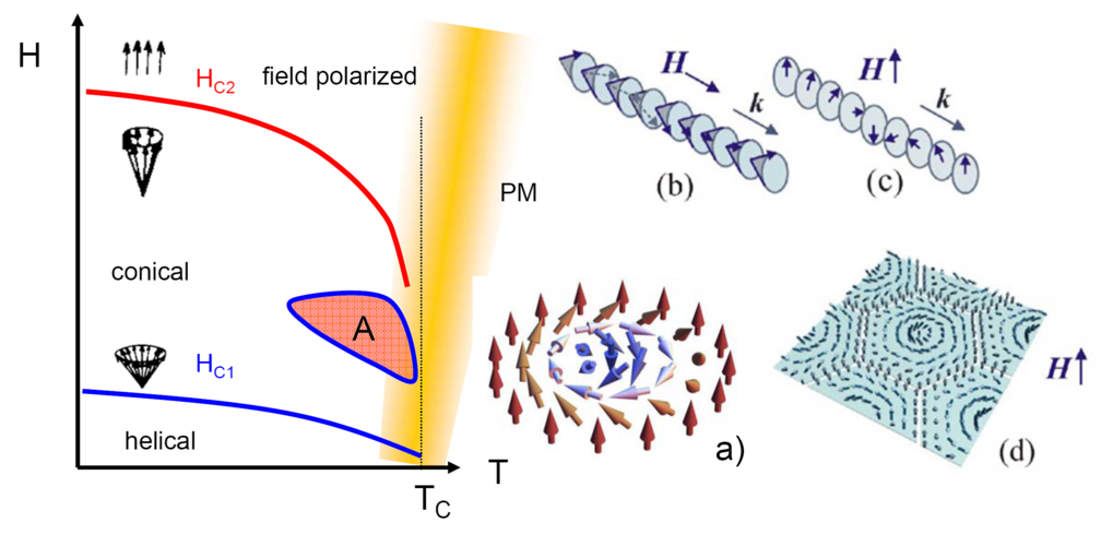 <p style="text-align: justify;">Figure 1: Schematic magnetic phase diagram of B20 helimagnets (left). Building blocks of the various phases (right): a) single Skyrmion. b) conical state c) helical state d) hexagonal Skyrmion lattice (“A phase”). </p>