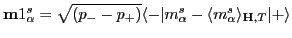 ${\mathbf m1^s_{\alpha}}=\sqrt{(p_--p_+)}\langle -\vert m^s_{\alpha}-\langle m^s_{\alpha}\rangle_{\mathbf H,T}\vert+\rangle$