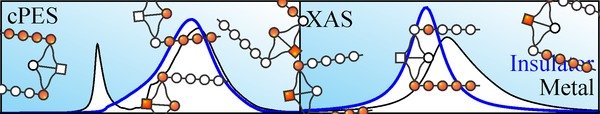 New theoretical methods for correlated electron systems