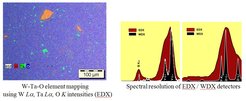 EDX-based mapping illustrates distribution of tungsten, tantalum, and oxygen elements; accompanying graphs compare spectral resolution of EDX and WDX detectors.