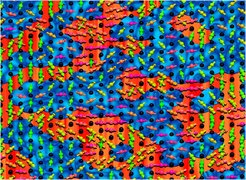 Ladungsverteilung mit Nanostruktur: In einem Kobaltoxidkristall fanden Max-Planck-Forscher zwei verschiedene nanoskopische Zonen, die reich (blau) beziehungsweise arm (rot) an Ladungsträgern sind. Gleichzeitig bestimmten sie die magnetische Ordnung des Materials. Die Pfeile und Farben geben die Orientierungen der Elektronenspins oder magnetischen Momente an den einzelnen Atomen wieder.