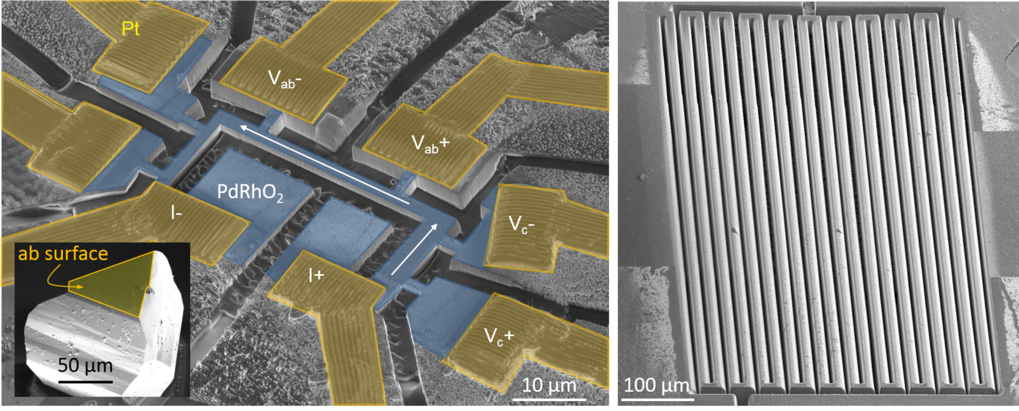 Figure 2: (left) PdRh02 microstructure (blue) with precise alignment to the crystal axes extracted and prepared from a macroscopic single crystal (inset) of the delafossite material. (right) Long narrow wire (L x W ≈ 18 mm x 10 µm) fabricated from an YbRh2Si2 crystal.
