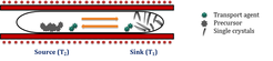 Schematic of the experimental set-up