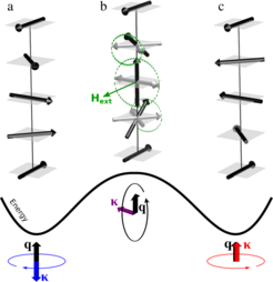 Figure caption: Switching of the magnetic helicity using magnetic pulse. Application of the external magnetic pulse Hext perpendicular to the spiral wave vector q causes the precession
of local moments (along the dashed green circles), which changes the helicity of a spiral from left-handed screw (a), through the intermediate cycloidal state (b) to the right-handed screw (c). In case
of the easy-plane magnetocrystalline anisotropy, the long period of a spiral greatly
facilitates reorientation of helicity from K ↑↓ q (blue) to K↑↑ q
(red) or vice versa, since the top of the energy barrier between two stable screws (a and c) is a cycloid (b) K ⊥ q (magenta), in which only
few atomic planes with magnetic moments orthogonal to Hext acquire the high energy.