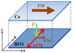 Schematic of magnetization and ferroelectric polarization axes for a hetero structure consisting of a Co metal film grown on a single domain BFO film.