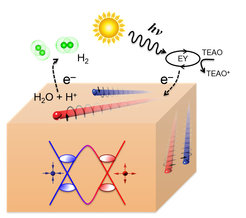 Schematic of the visible light hydrogen evolution reaction (left panel) on the surface of a Weyl semimetal. The right panel shows the superior activity of NbP Weyl semimetal compared to some traditional catalysts.