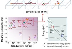 Left panel: A comparison of MR (2 K, 9 T) and conductivity (2 K, 0 T) of some well-known metals and semimetals.Metals with high conductivity have smaller MR and semimetals with smaller conductivities have larger MR. WP2 and MoP2 exhibit both very large conductivity as well as extremely high MR together. Right panel: The neighbouring Weyl points W1 and W2 in WP2 and MoP2 are of the same chirality making their annihilation with each other improbable. Upper panel: Schematic of the effect of hydrodynamics on carrier scattering.