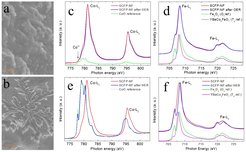 Figure 1. The SEM images of SCFP-NF after the OER (a) and HER (b) the scale bar are 200nm, and 1 μm, respectively. (c,e) the Co-L2,3 XAS before and after OER and HER and (d,f) the Fe-L2,3 XAS before and after OER and HER.