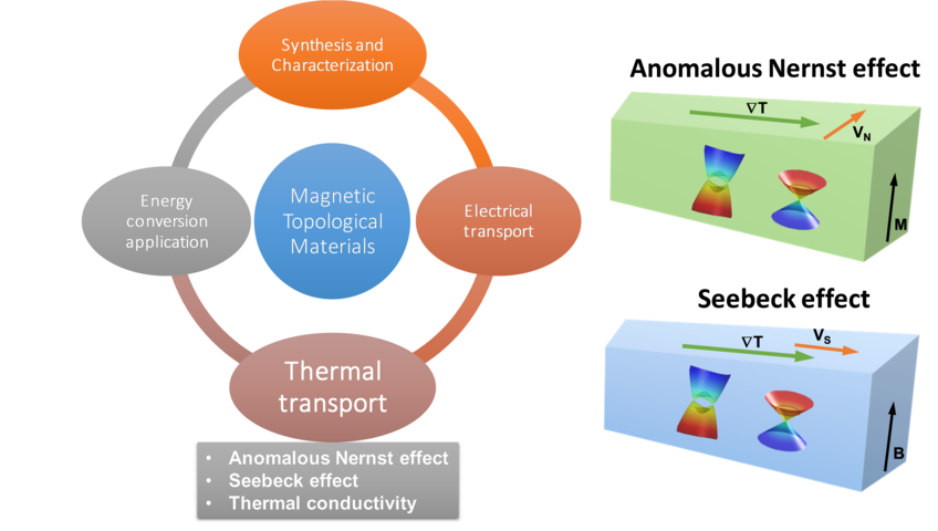 Thermal Transport - S. N. Guin