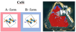 Both absolute structures (A- and B-form) of CoSi with different chirality are related to the color-coded domains on the surface of the CoSi crystallite (light optical image; edge length 1.4 mm).