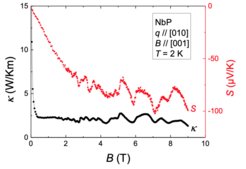Quantum oscillations in the thermal conductivity and the thermopower of the Weyl semimetal NbP (Stockert 2017).