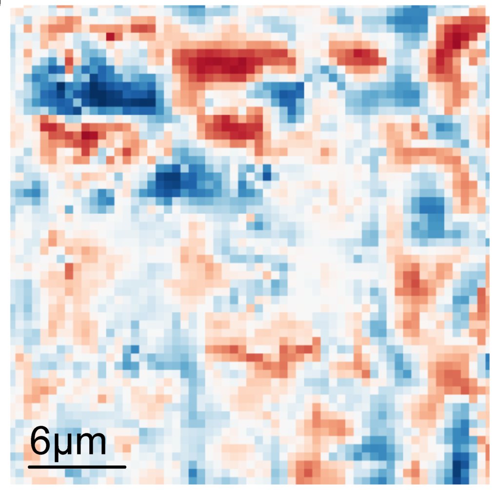 Optical investigation of quantum materials (V. Sunko)