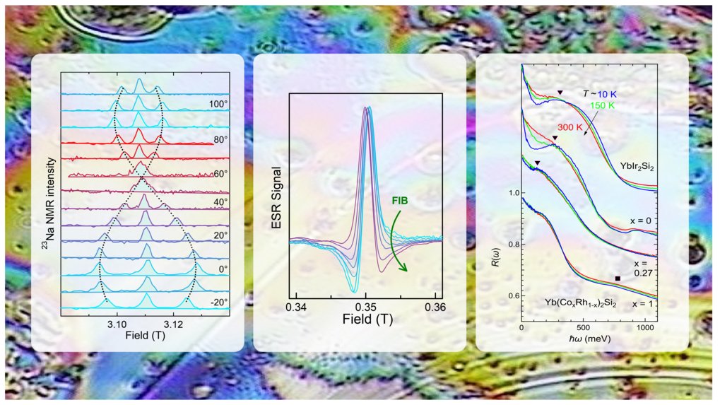 Magnetic resonance and optical spectroscopy (M. Baenitz, J. Sichelschmidt)