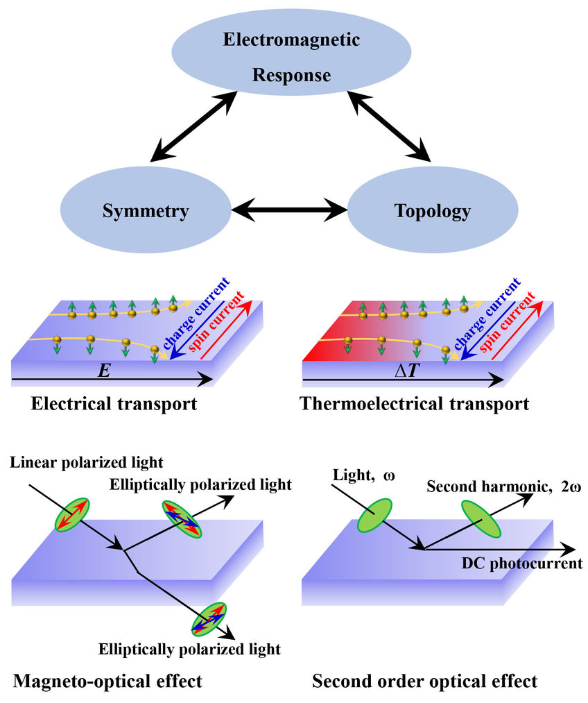 Topological Transport Theory - Y. Sun