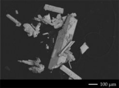 Backscatter electron micrograph of Hg6.4 single crystals.