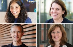 Die Vizepräsidentinnen und der Vizepräsident der Max-Planck-Gesellschaft: Asifa Akhtar, Claudia Felser, Christian Doeller und Sibylle Günter (von links oben nach rechts unten)