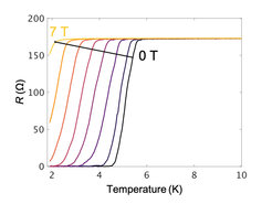 Temperaturabhängigkeit des Widerstands der Nanobrücke unter einem Magnetfeld senkrecht zum Substrat, von 0 T bis 7 T, gemessen mit I = 100 nA. Die gestrichelte Linie zeigt das obere kritische Magnetfeld an.