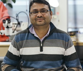 Shekhar Chandra - Growth of single crystal 